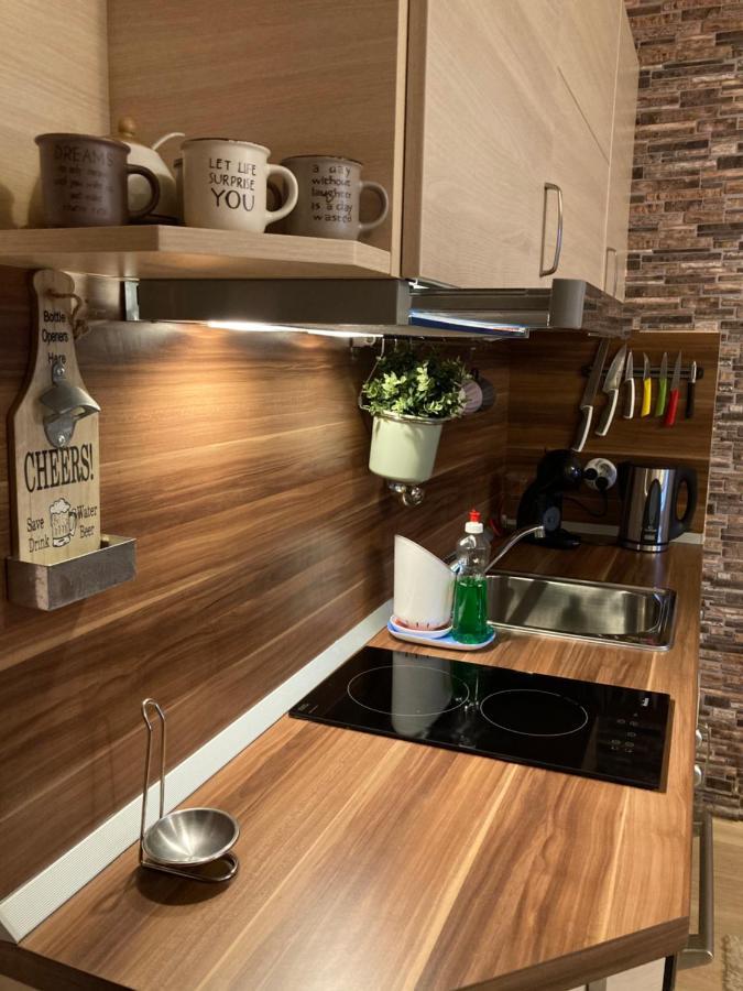 Mirabell Apartment Bansko - Mountain View & Fireplace מראה חיצוני תמונה