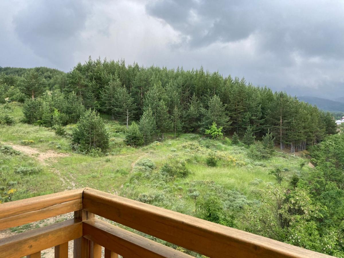 Mirabell Apartment Bansko - Mountain View & Fireplace מראה חיצוני תמונה