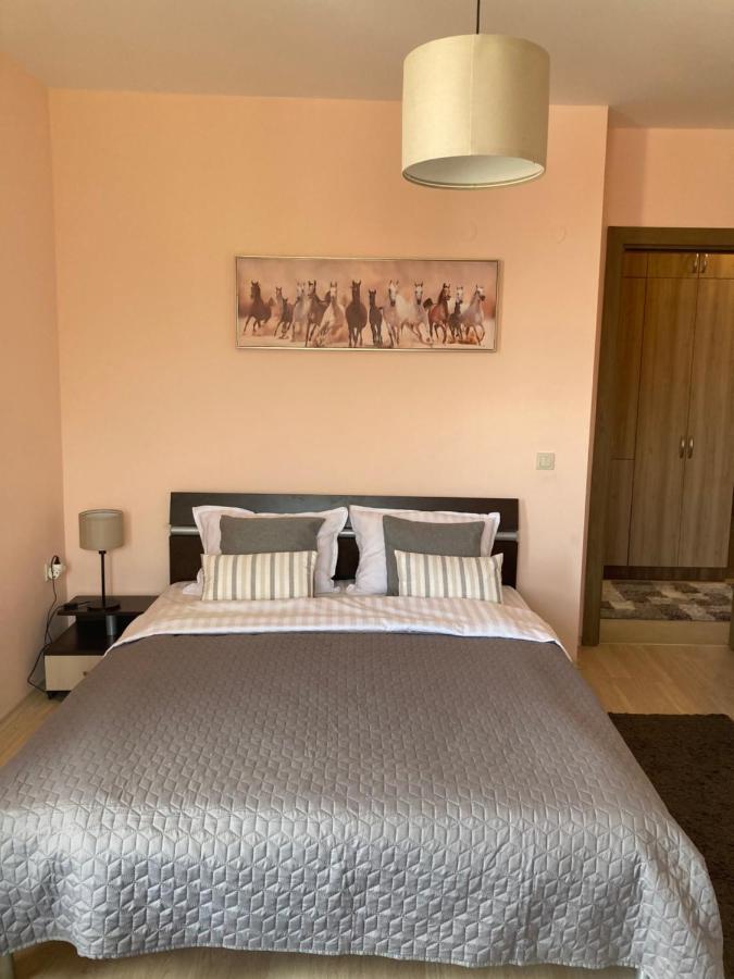 Mirabell Apartment Bansko - Mountain View & Fireplace מראה חיצוני תמונה